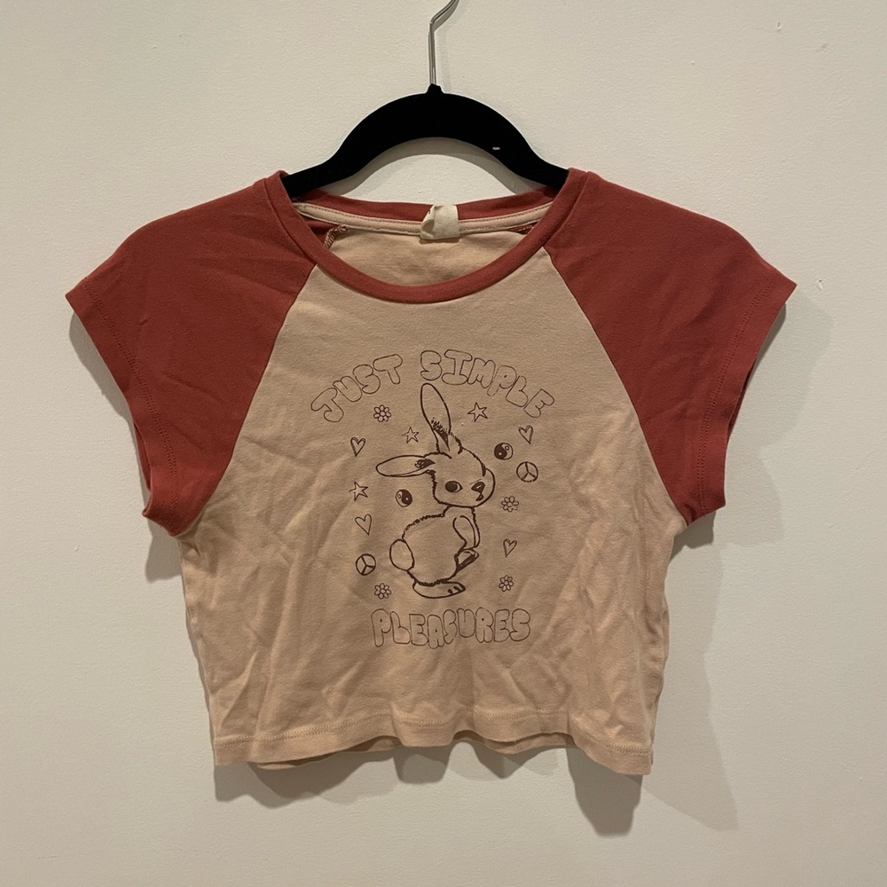 Simple Pleasures Urban Crop Top